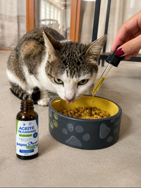Aceite de cáñamo para mascotas