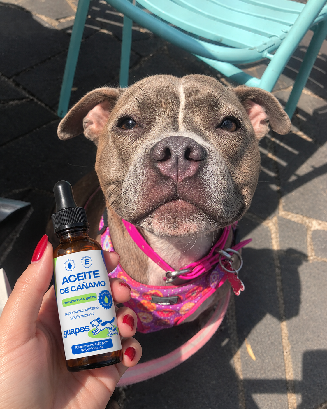 Aceite de cáñamo para mascotas