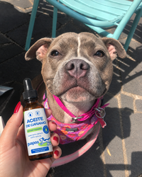 Aceite de cáñamo para mascotas