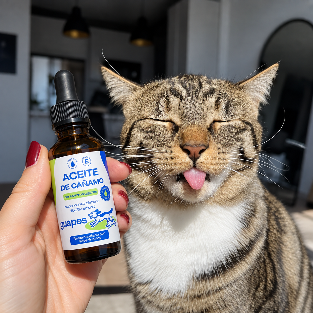 Aceite de cáñamo para mascotas
