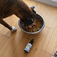 Aceite de cáñamo para mascotas