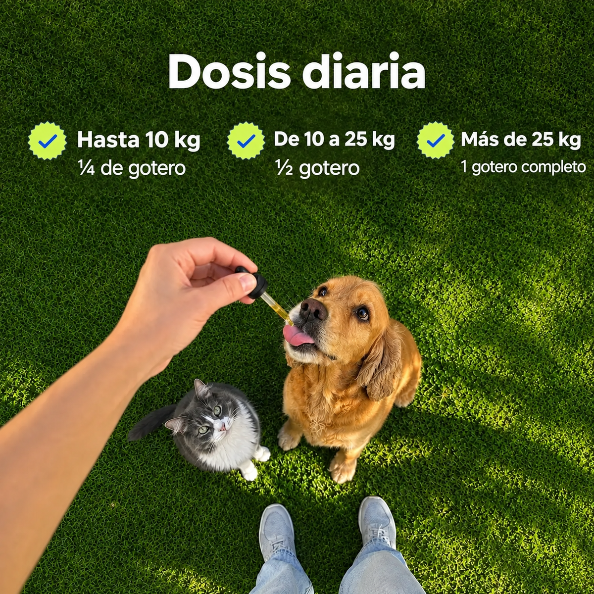 Aceite de cáñamo para mascotas