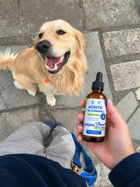 Aceite de cáñamo para mascotas