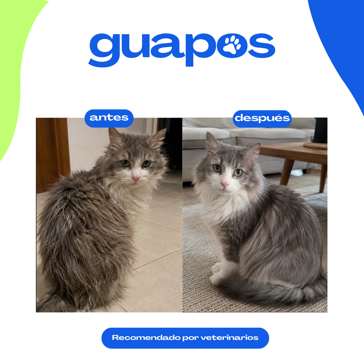 Aceite de cáñamo para mascotas
