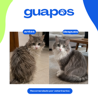 Aceite de cáñamo para mascotas