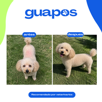Aceite de cáñamo para mascotas
