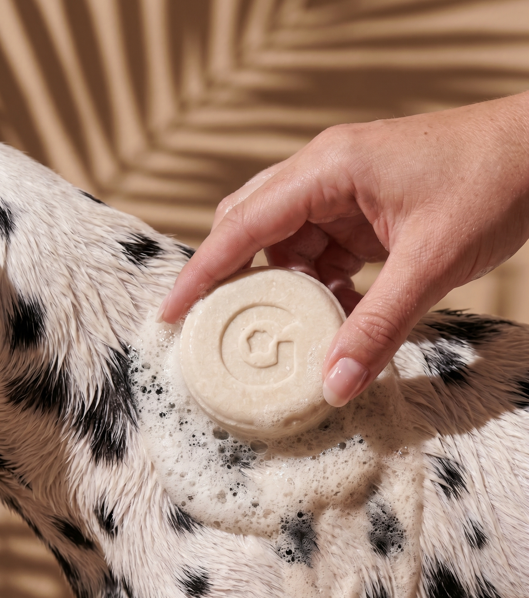 Shampoo Solido Natural Para Perros